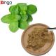 Raw Materials For Cosmetics Manufacturing Pure Natural Herb Mint Extract Powder For Healthy Products