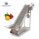 Commercial Electric Vegetable Elevator Machine Food Processor