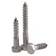 Stainless Steel Plated Carbon Steel DIN571 Hex Head Wood Screw