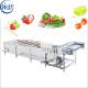 Carrot brush washing washer machine/vegetable cleaning equipment/fruit washer