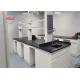 Steel  Laboratory Bench Hong Kong Chemistry Lab Furniture  Vietnam With PP Sink And Brass Faucet