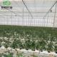 Agricultural Film Blackout Mushroom Greenhouse for Medical Plants and Mushroom in USA/Ca