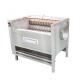 HDF1000 304 stainless steel large turmeric/ginger washing and peeling machine