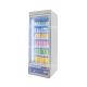 Stand Up Refrigerated Cabinet Beverage Fridge For Commercial Use