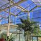 US 20/Square Meter Ju Xiang Glass Greenhouse for Cultivating Vegetables Full Payment
