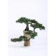 Interior Artificial Bonsai Plants Subtle Tropical Feel High Simulation