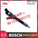 Excavator Parts 0445110557 Diesel Fuel Injector 0445110557 For Bosch