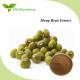 Green Mung Bean Extract Brown Fine Powder Vigna Radiata Seed Extract
