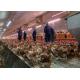 Auger Feeding Breeder Farm Equipment Plastic Slat Flooring Chicken Raising Equipment