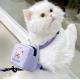 Print Mesh Cat Harness Backpack Leash Set Detachable Puppy Harness Pet Travel Hiking