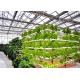 4m Bay Width Hydroponic Greenhouse Strong Ability To Resist Bad Weathers