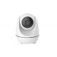 IR Mini Wireless Ptz Dome Camera , 2 Megapixels Network Ptz Camera Outdoor