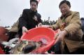 Rehabilitation of the fishing area in Chaohu