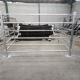 Cattle Panels 50mm * 50mm RHS * 1.6mm thickness