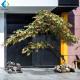 Outdoor Artificial Maple Tree Big Size For Hotel Mall Ornament 5-10 Years Life Time