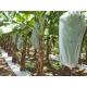 Anti UV Plant Protection Bag Windproof PP Non Woven Fabric For Banana