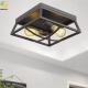 Used For Home/Hotel Hot Sale Nordic Style Black Iron Ceiling Light