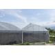 Agricultural Tomatoes Saw Tooth Greenhouse 8-12m Span Polyethylene Film Greenhouse