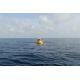 Marine Mammal China Monitoring Buoys Water Quality Observation