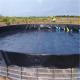 Anti-Seepage Function HDPE Geomembrane for Fish Farm Pond Liner 0.5mm 1mm Water Tank