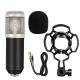 Two Screen POP Filters 20HZ Usb Microphone And Stand