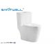 Chaozhou Popular Models Economic dual flush WC  flush rimless single piece toilet ISO9001 2000 cetification