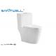 Chaozhou Popular Models Economic dual flush WC  flush rimless single piece toilet ISO9001 2000 cetification