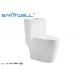 Models Economic Chaozhou Popular dual flush WC  flush rimless single piece toilet ISO9001 2000 cetification