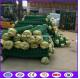 Green color 100x100 opening chain link fence decorations for architecture