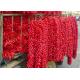 20000SHU Dried Chinese Chilis Vacuume Packing Spicy Chaotian / Tianjin Chilli