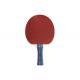Double Reversed Rubber Table Tennis Rackets 6MM Poplar Plywood for Recreation