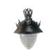 50W Aluminum Classical design LED Garden Light IP66 Suspended Mounting