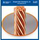 ASTM Standard Copper Clad Steel Wire With High Tensile Strength CCS