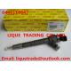 BOSCH Genuine and New Common rail injector  0445110647 for VOLKSWAGEN 03L130277J, 03L130277Q