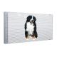 P4 Adhesive Transparent LED Display 240x1500mm SMD1921 3.5KG/SQM Front Service