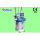 Body Cryolipolysis Slimming Machine / Laser Fat Freeze Machine