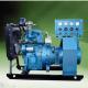 30KVA Biogas Electricity Generator 400 Kw Natural Gas Generator