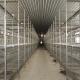 Modern Commercial 25.5*24.5 Inch Poultry Layer Cage Hot Dip Galvanized