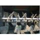 Twin Shaft Agravic Dry Mortar Production Line Adopts The Paddle Structure