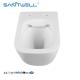 Popular Models Gravity Flushing One Piece Ceramic Rimless Wall Mounted WC