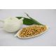 Full Nutritious Shrimp Sunflower Seed Kernels Rich Vitamins BRC Certificate
