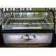 Digital Temperature Control Ice Cream Display Freezer Front With Lamp Box