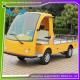 2 Seats Hotel Buggy Car AC Motor Electric Luggage Cart 48V Battery Powered for park