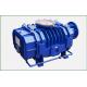 High Performance Roots Vacuum Pump Low Noise Three - Leaf Line Structure