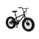 20 Inch BMX Fat Tire Bicycle Hi-Ten Steel Frame 8 Speed