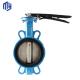 Complete Certificate and DN50 Pn16 Di Manual Stainless Steel Wafer Butterfly Valve