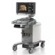Siemens Acuson X300 PE Trolley Color Doppler With Linear TVS Probes Hospital