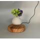 round base magnetic levitation resin pot air bonsai ,floating plant tree PA-0736