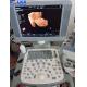 Mindray 4D Original Ultrasound System DC-N6 Versatile