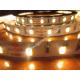 warm white and white in one 5050 smd cct dimmable led strip